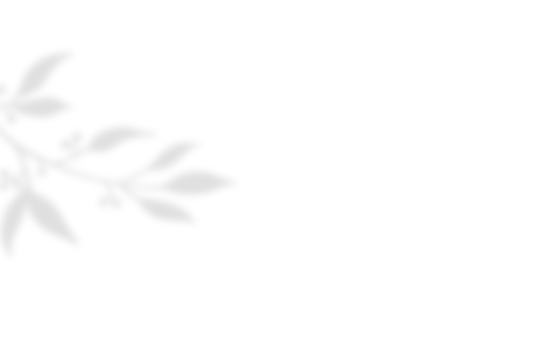 https://www.girls-run-internet.com/wp-content/uploads/2020/10/shadow_leaves_04.png
