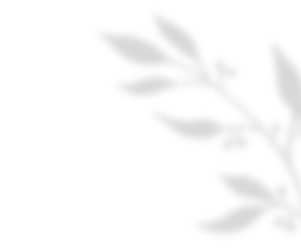 https://www.girls-run-internet.com/wp-content/uploads/2020/11/shadow_leaves_01.png