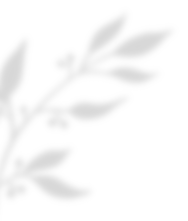 https://www.girls-run-internet.com/wp-content/uploads/2020/11/shadow_leaves_02.png