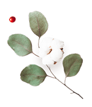 https://www.girls-run-internet.com/wp-content/uploads/2020/12/floating_image_flower_03.png