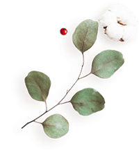 https://www.girls-run-internet.com/wp-content/uploads/2020/12/floating_image_flower_04.png