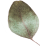 https://www.girls-run-internet.com/wp-content/uploads/2020/12/separate_leaf.png